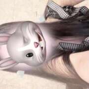 ヒメ日記 2025/12/31 13:49 投稿 ココ Evolution 2nd