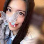 ココ ココです Evolution 2nd