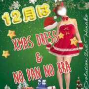 ヒメ日記 2024/12/26 08:02 投稿 陽菜子【ヒナコ】 Evolution 2nd