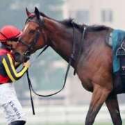 ヒメ日記 2025/04/28 08:32 投稿 陽菜子【ヒナコ】 Evolution 2nd