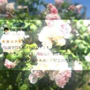 ヒメ日記 2025/06/10 19:25 投稿 陽菜子【ヒナコ】 Evolution 2nd