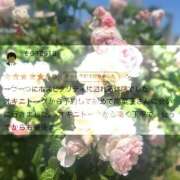 ヒメ日記 2025/06/19 10:21 投稿 陽菜子【ヒナコ】 Evolution 2nd