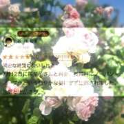 ヒメ日記 2025/07/15 00:02 投稿 陽菜子【ヒナコ】 Evolution 2nd