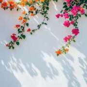 ヒメ日記 2025/08/03 07:45 投稿 陽菜子【ヒナコ】 Evolution 2nd