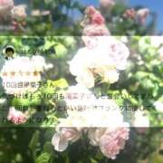 ヒメ日記 2025/08/28 09:02 投稿 陽菜子【ヒナコ】 Evolution 2nd
