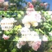 ヒメ日記 2025/08/31 00:32 投稿 陽菜子【ヒナコ】 Evolution 2nd
