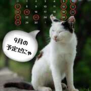 ヒメ日記 2025/09/13 08:22 投稿 陽菜子【ヒナコ】 Evolution 2nd