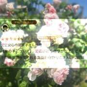 ヒメ日記 2025/09/26 09:02 投稿 陽菜子【ヒナコ】 Evolution 2nd