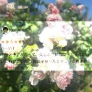 ヒメ日記 2025/10/04 11:02 投稿 陽菜子【ヒナコ】 Evolution 2nd