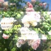 ヒメ日記 2025/10/31 01:12 投稿 陽菜子【ヒナコ】 Evolution 2nd