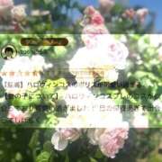 ヒメ日記 2025/11/07 23:12 投稿 陽菜子【ヒナコ】 Evolution 2nd