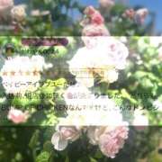 ヒメ日記 2025/11/14 20:43 投稿 陽菜子【ヒナコ】 Evolution 2nd