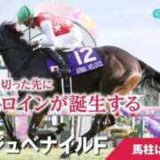 ヒメ日記 2025/12/14 22:27 投稿 陽菜子【ヒナコ】 Evolution 2nd