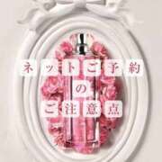 ヒメ日記 2026/03/29 06:22 投稿 陽菜子【ヒナコ】 Evolution 2nd