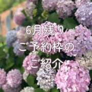 ヒメ日記 2026/06/10 16:21 投稿 陽菜子【ヒナコ】 Evolution 2nd