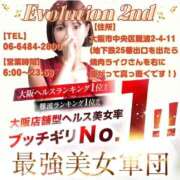 陽菜子【ヒナコ】 難波No.1のお店 Evolution 2nd