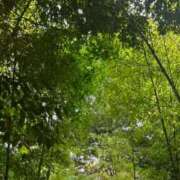 ヒメ日記 2024/12/29 10:42 投稿 星奈【ホシナ】 Evolution 2nd