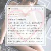 ヒメ日記 2026/04/03 18:14 投稿 星奈【ホシナ】 Evolution 2nd