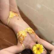 ヒメ日記 2026/07/14 08:12 投稿 星奈【ホシナ】 Evolution 2nd