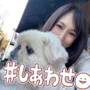 ヒメ日記 2025/10/14 14:51 投稿 コトネ ラブ&ピース 大宮店