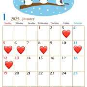 ヒメ日記 2025/01/01 17:52 投稿 はるな Evolution 2nd