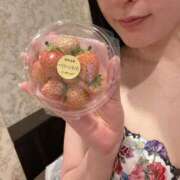 ヒメ日記 2025/03/19 11:12 投稿 キキ Evolution 2nd