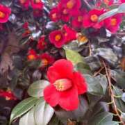 ヒメ日記 2025/04/01 21:47 投稿 キキ Evolution 2nd