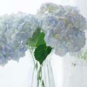 ヒメ日記 2025/05/21 15:28 投稿 キキ Evolution 2nd