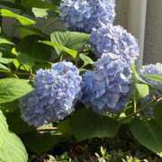 ヒメ日記 2025/06/17 12:22 投稿 キキ Evolution 2nd