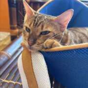 ヒメ日記 2025/08/21 20:52 投稿 キキ Evolution 2nd