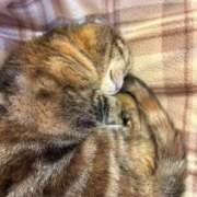 ヒメ日記 2025/08/30 15:02 投稿 キキ Evolution 2nd