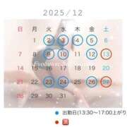 しずく 🗓️12月のシフトだよ🗓️ Evolution 2nd