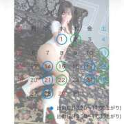 ヒメ日記 2026/03/28 12:46 投稿 しずく Evolution 2nd