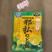 ヒメ日記 2025/02/10 02:19 投稿 美琴【ミコト】 Evolution 2nd