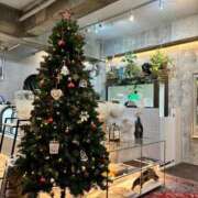 ヒメ日記 2024/12/18 19:24 投稿 なごみ Evolution 2nd