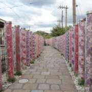 ヒメ日記 2025/10/06 21:42 投稿 なごみ Evolution 2nd