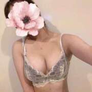 ヒメ日記 2025/11/28 16:03 投稿 なごみ Evolution 2nd