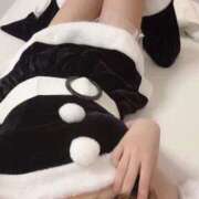 ヒメ日記 2025/12/25 17:32 投稿 なごみ Evolution 2nd