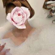 なごみ ❤︎ Evolution 2nd