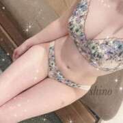 ヒメ日記 2025/04/21 13:42 投稿 しの Evolution 2nd