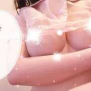 ヒメ日記 2025/09/18 10:25 投稿 しの Evolution 2nd