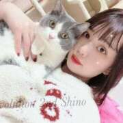 ヒメ日記 2025/12/29 14:55 投稿 しの Evolution 2nd