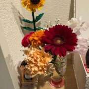 ヒメ日記 2025/12/31 17:02 投稿 しの Evolution 2nd