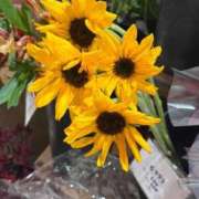 ヒメ日記 2026/02/28 16:52 投稿 しの Evolution 2nd