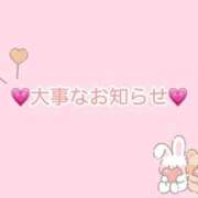 ヒメ日記 2025/04/01 19:52 投稿 桃【モモ】 Evolution 2nd