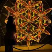 ヒメ日記 2025/01/01 17:12 投稿 あゆみ Evolution 2nd