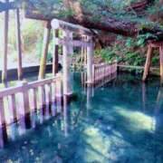 ヒメ日記 2025/01/01 09:22 投稿 ひより Evolution 2nd