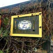 ヒメ日記 2025/01/22 08:32 投稿 ひより Evolution 2nd