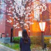 ヒメ日記 2025/04/06 09:42 投稿 ひより Evolution 2nd