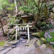 ヒメ日記 2025/04/07 09:02 投稿 ひより Evolution 2nd